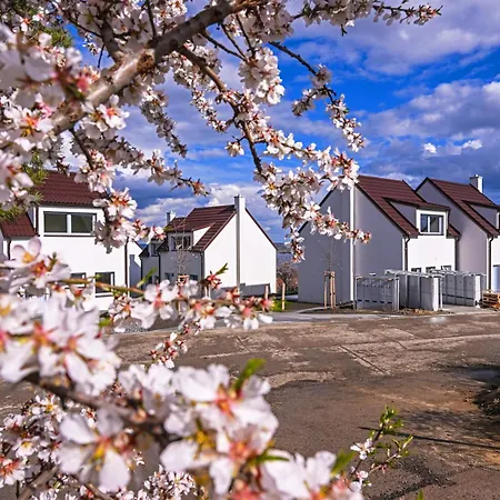 Pavlovske Domecky * פבלוב